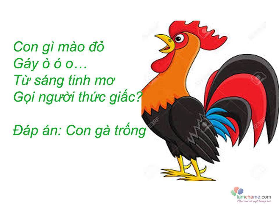 Rèn trí thông minh qua 20 câu đố về con vật kèm đáp án dành cho các bé mọi lứa tuổi từ mầm non đến tiểu học, đố con vật từ trên cạn tới dưới nước