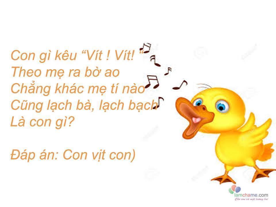 Rèn trí thông minh qua 20 câu đố về con vật kèm đáp án dành cho các bé mọi lứa tuổi từ mầm non đến tiểu học, đố con vật từ trên cạn tới dưới nước