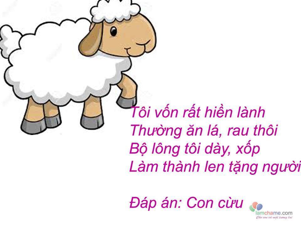 Rèn trí thông minh qua 20 câu đố về con vật kèm đáp án dành cho các bé mọi lứa tuổi từ mầm non đến tiểu học, đố con vật từ trên cạn tới dưới nước