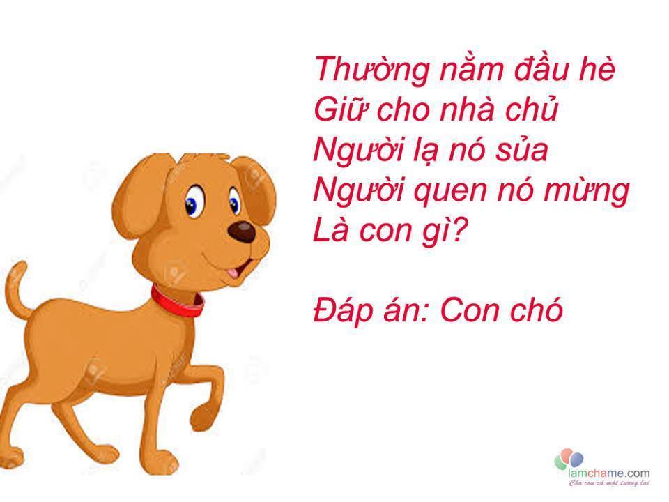 Rèn trí thông minh qua 20 câu đố về con vật kèm đáp án dành cho các bé mọi lứa tuổi từ mầm non đến tiểu học, đố con vật từ trên cạn tới dưới nước