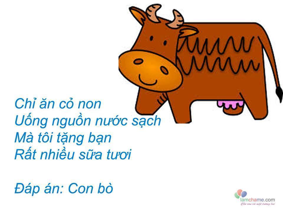 Rèn trí thông minh qua 20 câu đố về con vật kèm đáp án dành cho các bé mọi lứa tuổi từ mầm non đến tiểu học, đố con vật từ trên cạn tới dưới nước