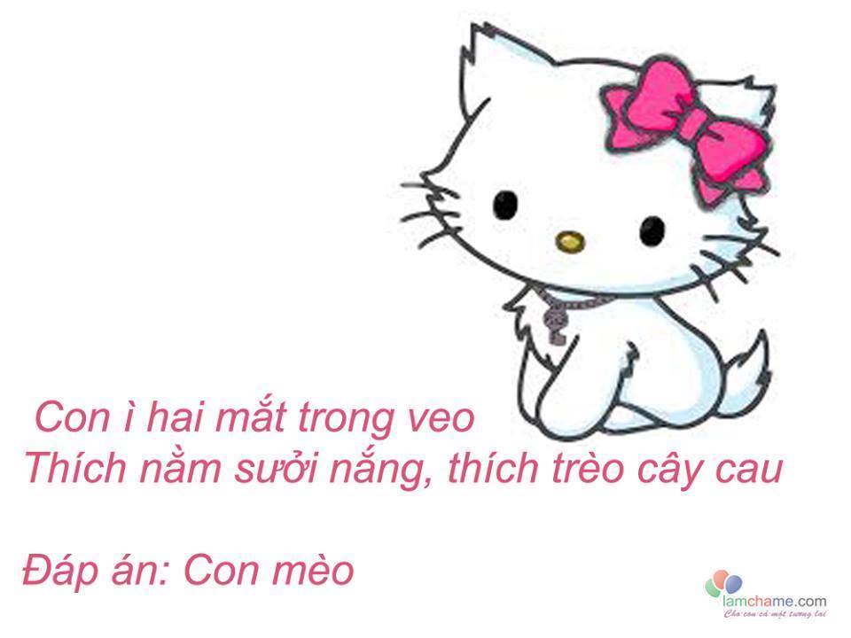 Rèn trí thông minh qua 20 câu đố về con vật kèm đáp án dành cho các bé mọi lứa tuổi từ mầm non đến tiểu học, đố con vật từ trên cạn tới dưới nước