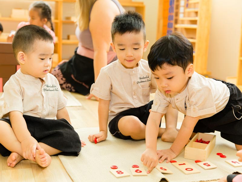 So sánh phương pháp Montessori và STEAM về mục tiêu và nguyên tắc giảng dạy?