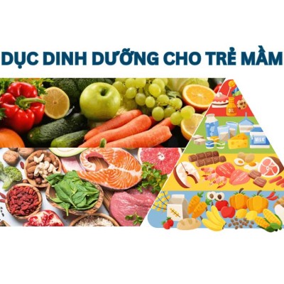 Chế độ dinh dưỡng cho trẻ ở độ tuổi mầm non